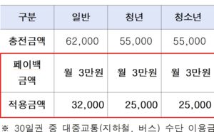 서울시, 3개월간 기후동행카드 월 3만원 환급