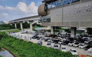 여유 생긴 주차장…2부제에 울고 웃는 공직사회