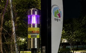 절정 맞은 러브버그…물줄기에 힘없이 '툭'