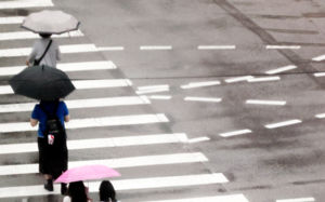 경기북부 호우주의보…시간당 최대 50㎜ 예보