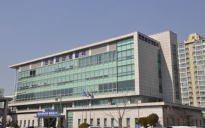 10대 아들, 말다툼 중 흉기로 친모 살해