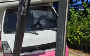 안성 플리마켓 행사장에 車 돌진…모자 참변