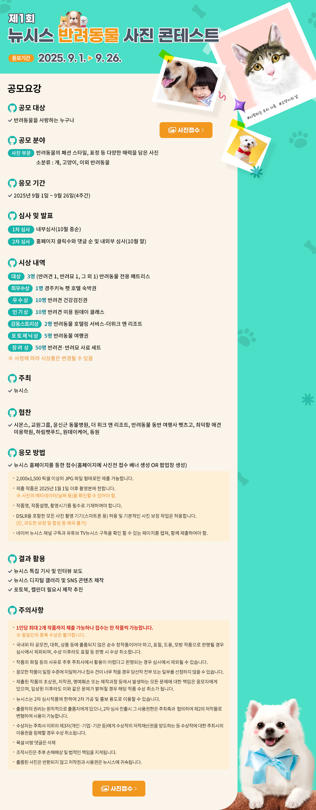 제1회 뉴시스 반려동물 사진 콘테스트