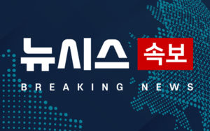 靑 "호르무즈 자유로운 통행 모든 국가 이익"