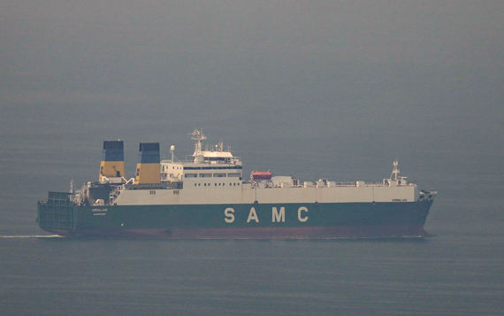 당정 "사우디·오만·알제리 등 특사파견 노력"