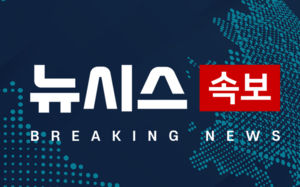 지선 광역단체장 민주 12곳·국힘 4곳 승리