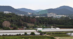 靑 "호남 반도체 전력공급에 신규 원전 검토"