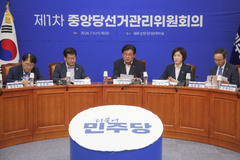 與전준위 "선호투표, 당헌 위반이라 보지 않아"