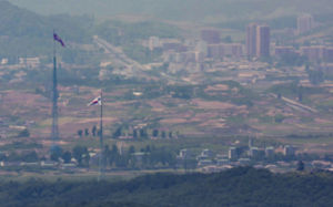 군·유엔사, 지뢰추정 폭발 닷새만 DMZ 진입