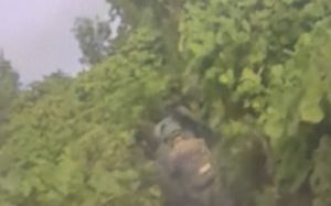군·유엔사, DMZ 지뢰 폭발현장 첫 합동진입