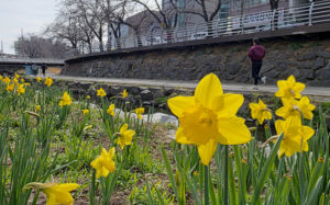 "봄이네"…이번주 맑고 포근, 낮 최고 18도