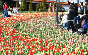 일교차 크고 건조…수도권 미세먼지 '나쁨'