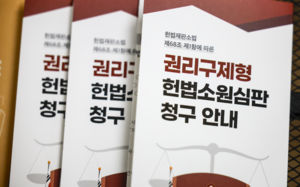 시리아인 추방취소 등 재판소원 48건 추가 각하