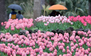 내일 낮 최고 23도 포근…밤부터 곳곳 봄비