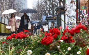 포근하지만 큰 일교차…밤부터 전국 봄비