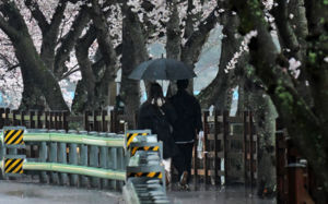 전국 비…남해안·제주 시간당 최대 30㎜