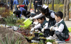 매년 따뜻해지는데…식목일, 3월로 바꿔야 하나