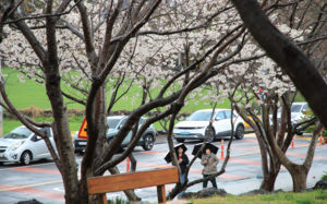 전국에 봄비…황사 유입에 공기질 악화