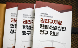 재판소원 한달, 사전심사로 '4심 우려' 불식