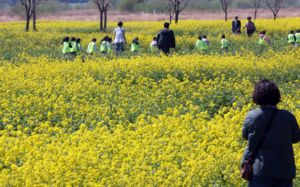 내일 낮 최고 25도 '포근'…큰 일교차 주의