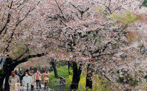 오늘 '낮 최고 25도' 봄 날씨…큰 일교차 주의