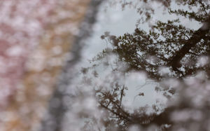 초여름 더위 '주춤'…충청·남부·제주 비 소식