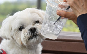 내일 전국 곳곳 비…황사에 미세먼지 '나쁨'