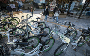 차량 2·5부제에 자전거 출근…따릉이 인기