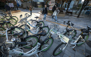 차량 2·5부제에 자전거 출근…따릉이 인기