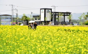 오늘 대기 건조하고 일교차 커…남해안 등 소나기