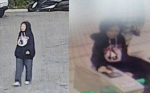 북한산 오른 뒤 사라진 여성…27일째 수색