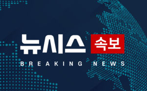 법원 "김건희, 알선 명목 목걸이 수수 인정"