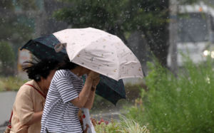 서울 서남권 호우주의보…시간당 30㎜ 비