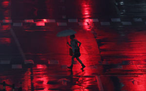 전국 강한 비바람…수도권 최대 120㎜ 물폭탄