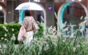 서울시, 연트럴파크 사용료 421억 지급 확정