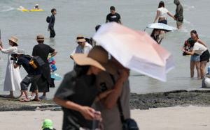 끝나지 않는 늦더위…3년째 '처서의 배신'