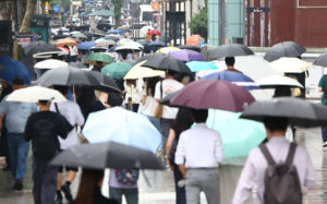 전국 강한 비…충청 최대 250㎜ 폭우 예고