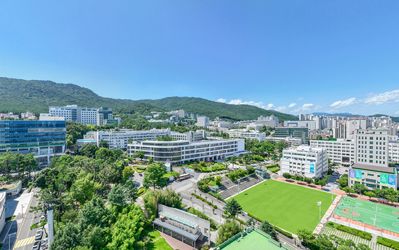 부산대·전남대·충남대 '서울대 10개' 선봉