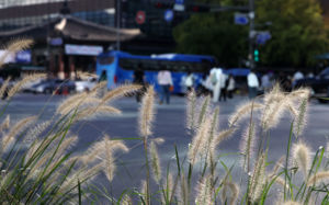 아침 최저 3도 '뚝'…강원 일부 한파특보 발효