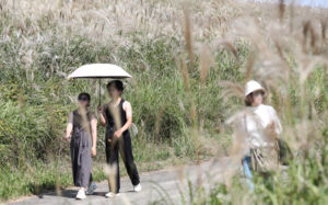 서울 30.1도, 역대 10월 최고기온…밤부터 비