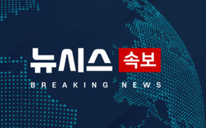 대법원, 이달 27일 김건희 구속영장 심문