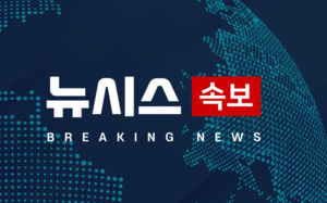 '김건희에 로저비비에' 김기현, 1심 무죄
