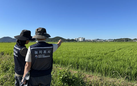 농지, 다시 묻다