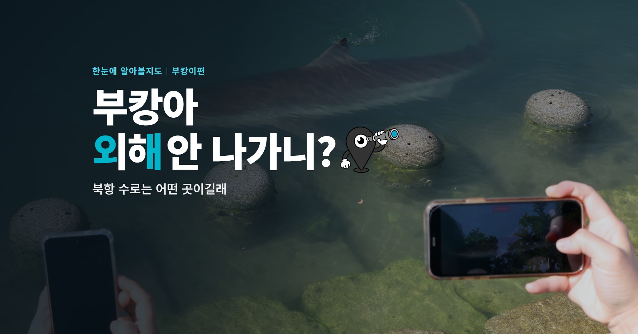 부캉아, 외해 안 나가니? <br>북항 수로 어떤 곳이길래