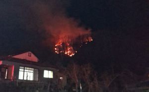 F-16 추락 야산 불…탈출 조종사 나무에 걸려