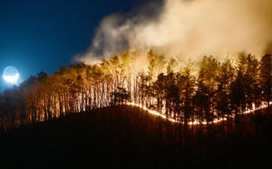 함양 산불 용의자, 17년전 방화범 '불다람쥐'