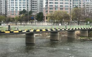 대구 캐리어 50대 여성, 딸·사위가 살해 후 유기