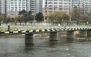 대구 캐리어 50대 여성, 딸·사위가 살해 후 유기