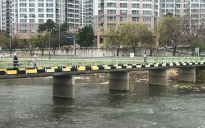 대구 캐리어 50대女, 딸·사위가 살해 후 유기