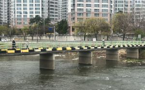 캐리어 시신, 사위가 "시끄럽다"고 폭행·사망